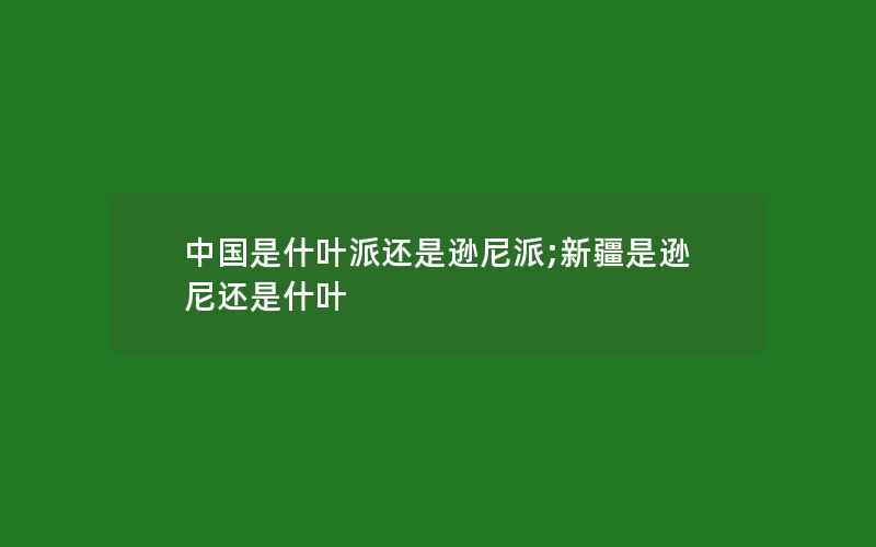 中国是什叶派还是逊尼派;新疆是逊尼还是什叶