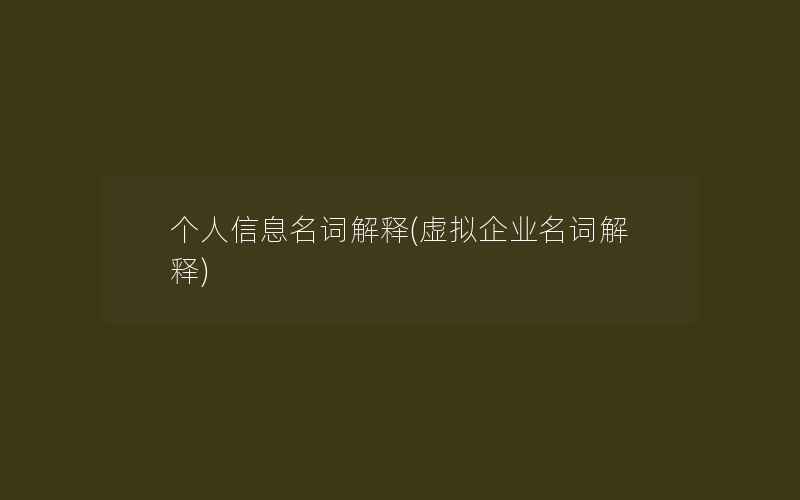 个人信息名词解释(虚拟企业名词解释)