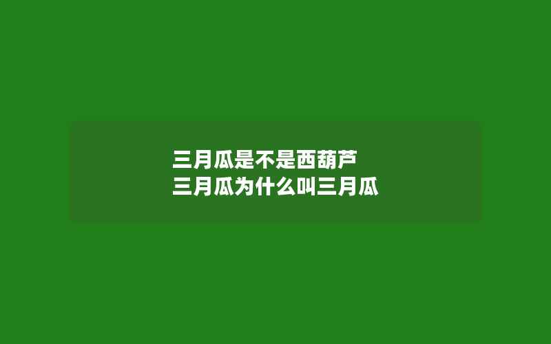 三月瓜是不是西葫芦 三月瓜为什么叫三月瓜