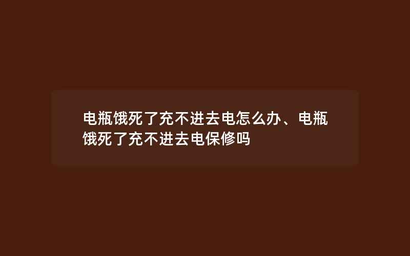 电瓶饿死了充不进去电怎么办、电瓶饿死了充不进去电保修吗