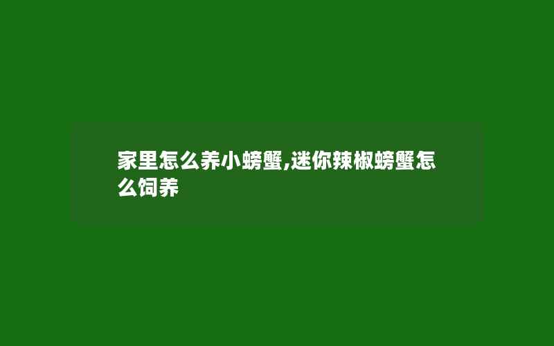 家里怎么养小螃蟹,迷你辣椒螃蟹怎么饲养