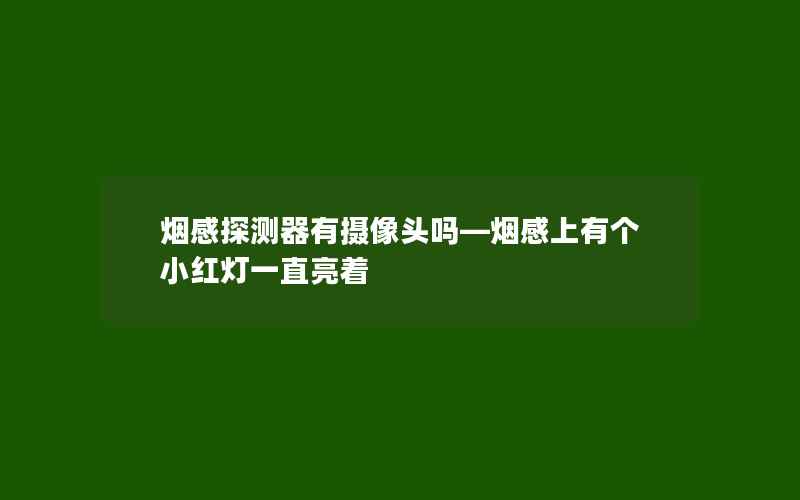 烟感探测器有摄像头吗—烟感上有个小红灯一直亮着