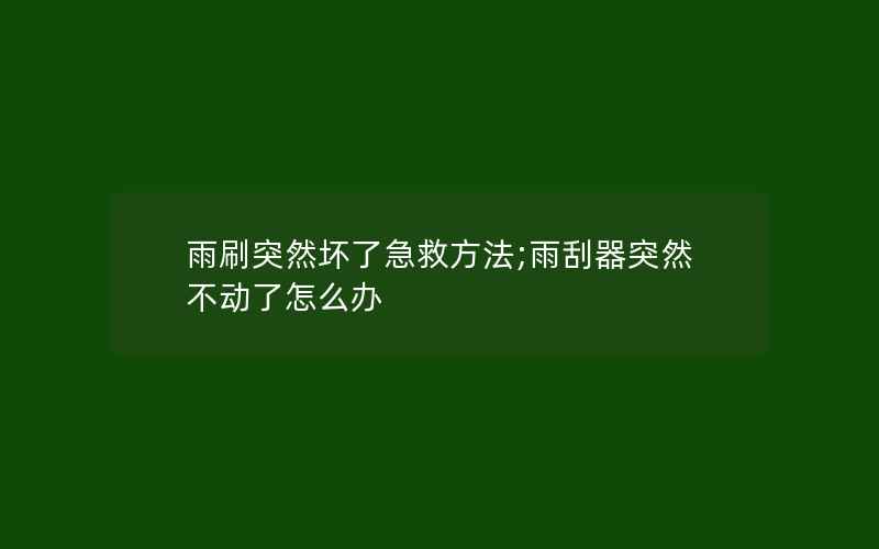 雨刷突然坏了急救方法;雨刮器突然不动了怎么办