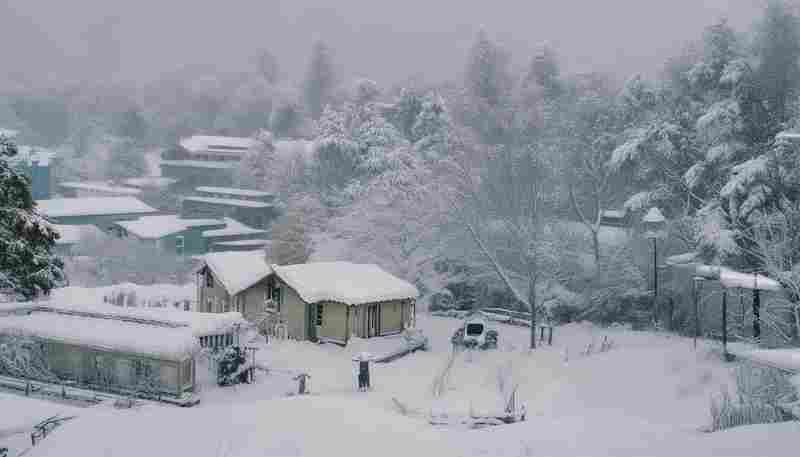 家族甲状腺疾病史对结节风险评估有何影响
