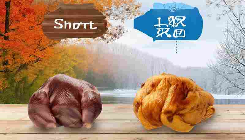 季节变化如何影响鸭肉的腌制时长