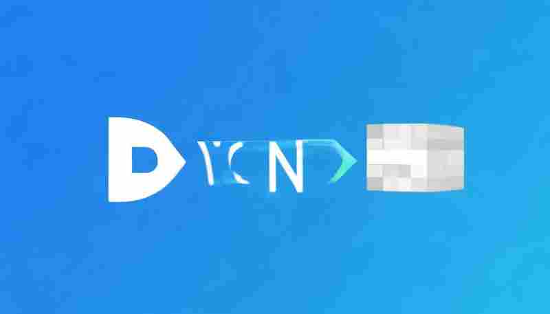 iOS设备如何同时使用自定义DNS和VPN服务