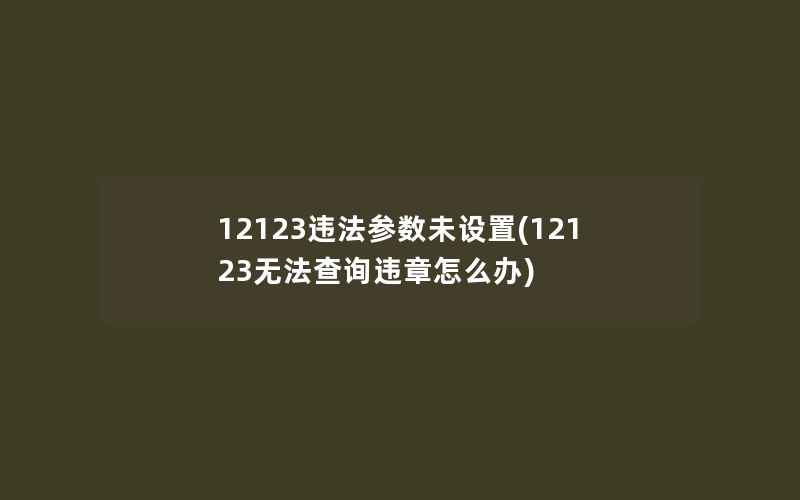 12123违法参数未设置(12123无法查询违章怎么办)