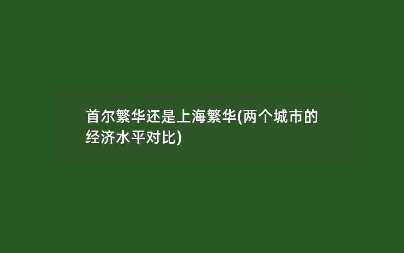 首尔繁华还是上海繁华(两个城市的经济水平对比)