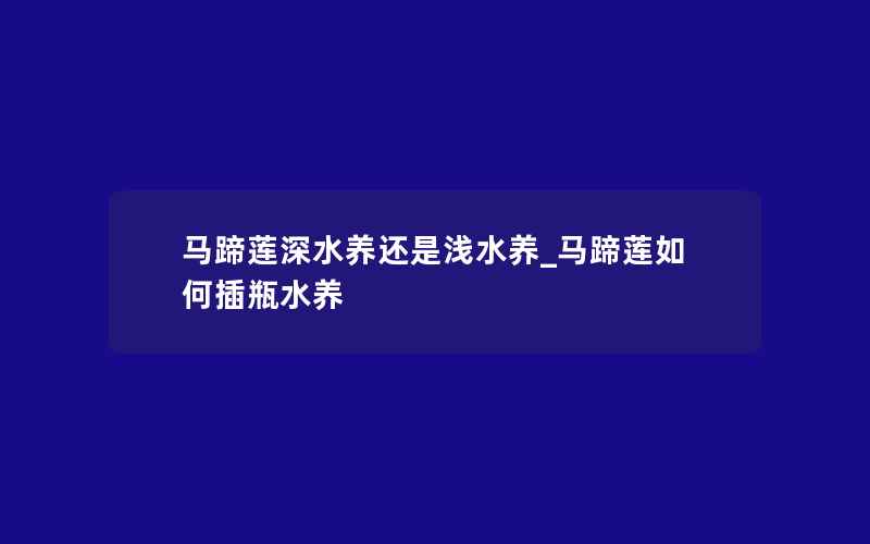 马蹄莲深水养还是浅水养_马蹄莲如何插瓶水养