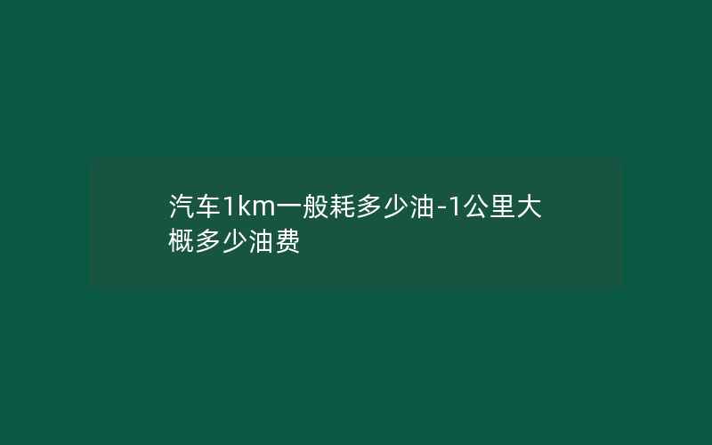 汽车1km一般耗多少油-1公里大概多少油费