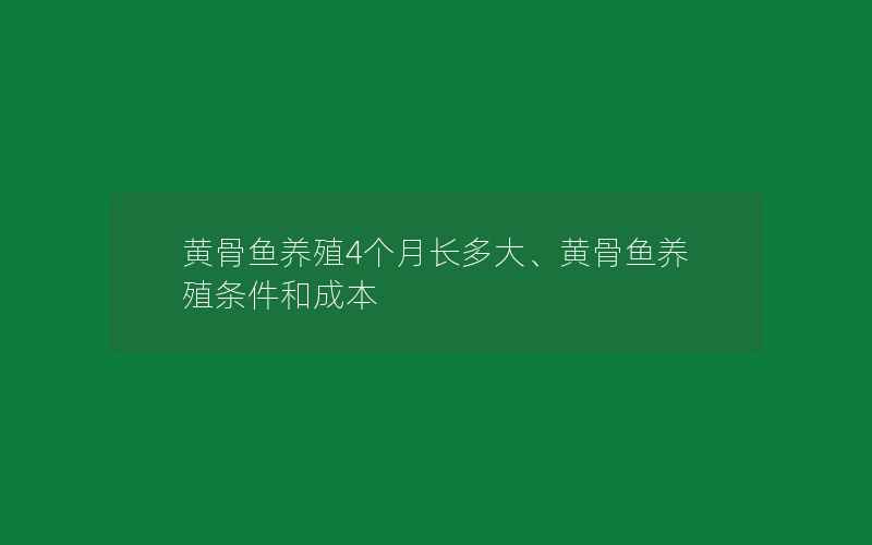 黄骨鱼养殖4个月长多大、黄骨鱼养殖条件和成本