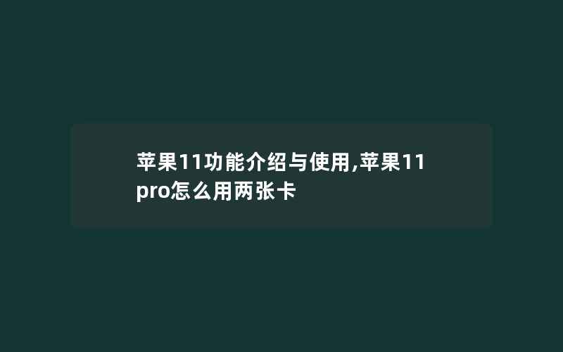 苹果11功能介绍与使用,苹果11pro怎么用两张卡