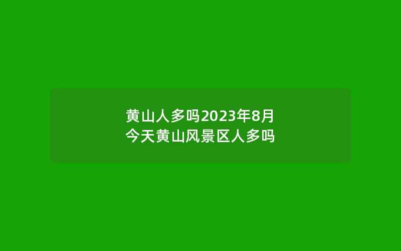 黄山人多吗2023年8月 今天黄山风景区人多吗