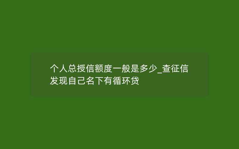 个人总授信额度一般是多少_查征信发现自己名下有循环贷