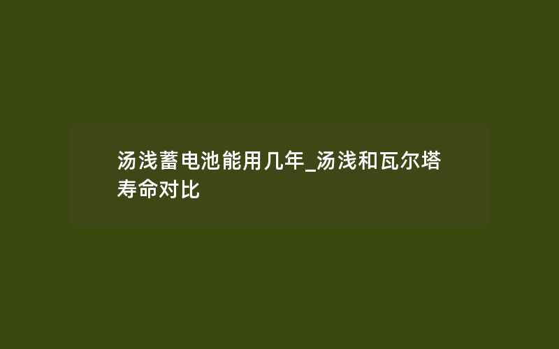 汤浅蓄电池能用几年_汤浅和瓦尔塔寿命对比