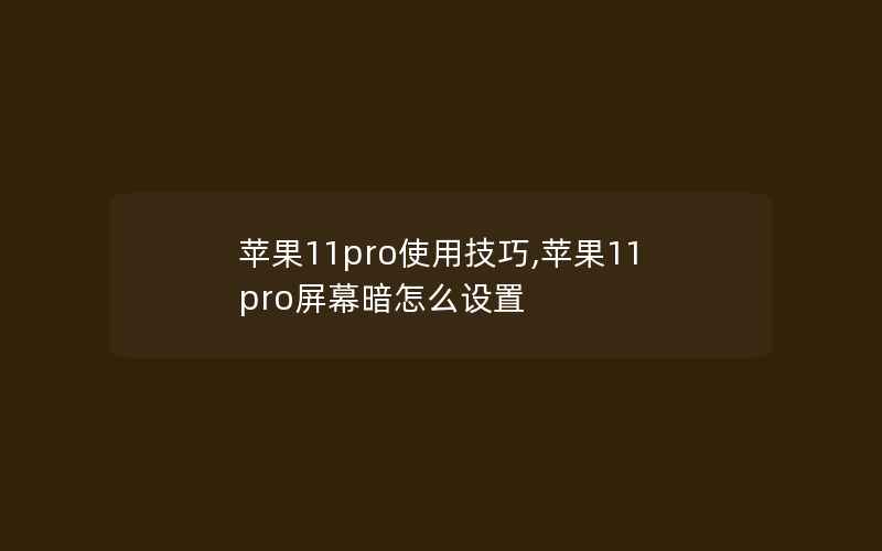 苹果11pro使用技巧,苹果11pro屏幕暗怎么设置