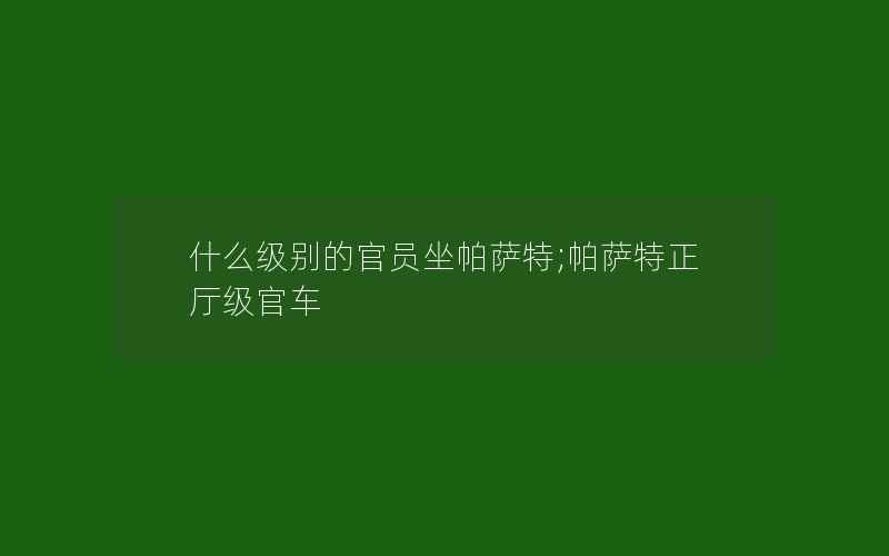 什么级别的官员坐帕萨特;帕萨特正厅级官车