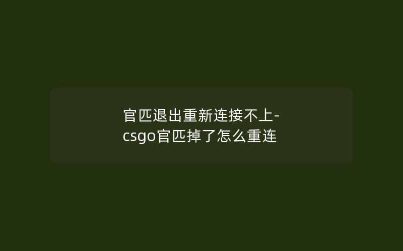 官匹退出重新连接不上-csgo官匹掉了怎么重连