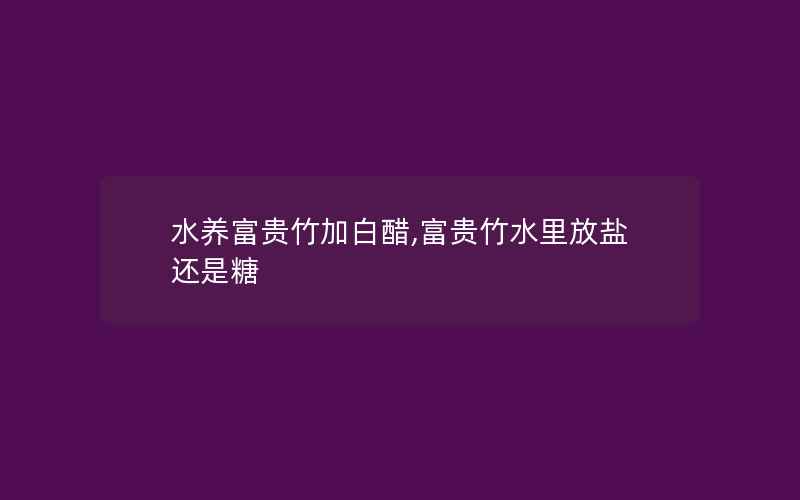 水养富贵竹加白醋,富贵竹水里放盐还是糖