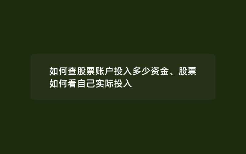 如何查股票账户投入多少资金、股票如何看自己实际投入