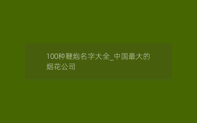 100种鞭炮名字大全_中国最大的烟花公司