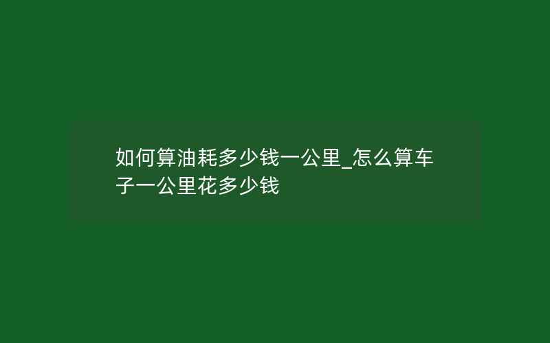 如何算油耗多少钱一公里_怎么算车子一公里花多少钱