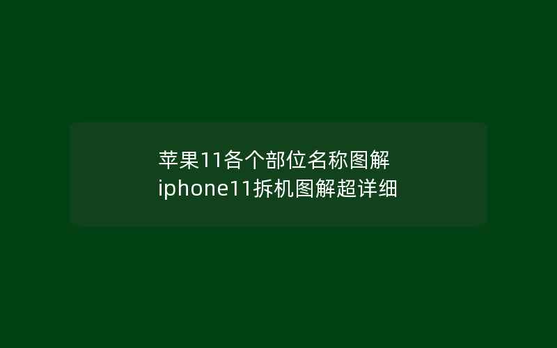 苹果11各个部位名称图解 iphone11拆机图解超详细