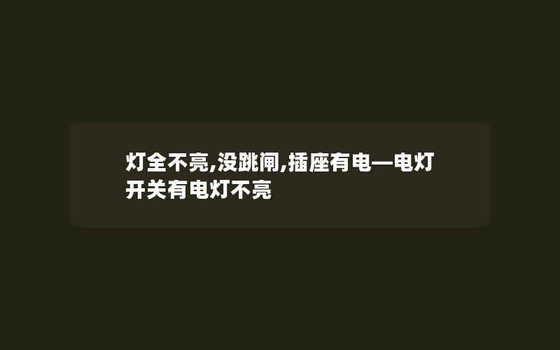 灯全不亮,没跳闸,插座有电—电灯开关有电灯不亮