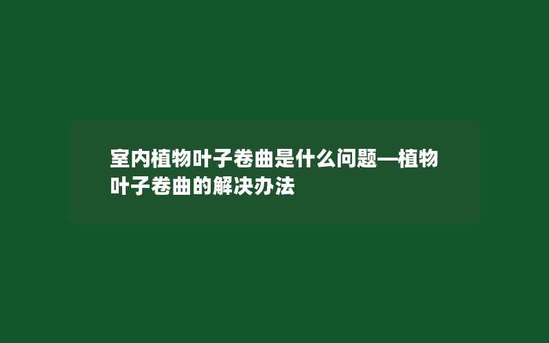 室内植物叶子卷曲是什么问题—植物叶子卷曲的解决办法