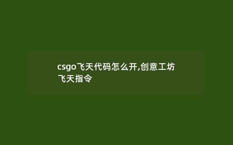 csgo飞天代码怎么开,创意工坊飞天指令