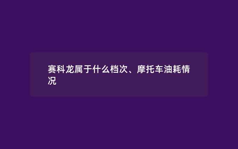 赛科龙属于什么档次、摩托车油耗情况