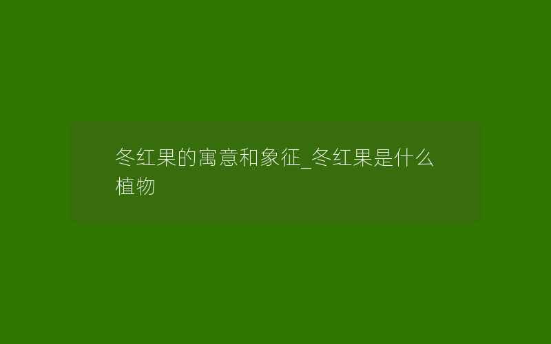 冬红果的寓意和象征_冬红果是什么植物