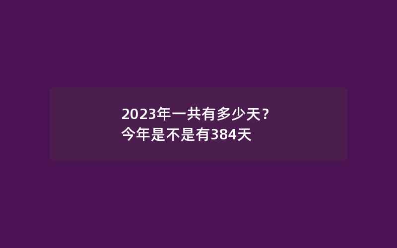 2023年一共有多少天？ 今年是不是有384天