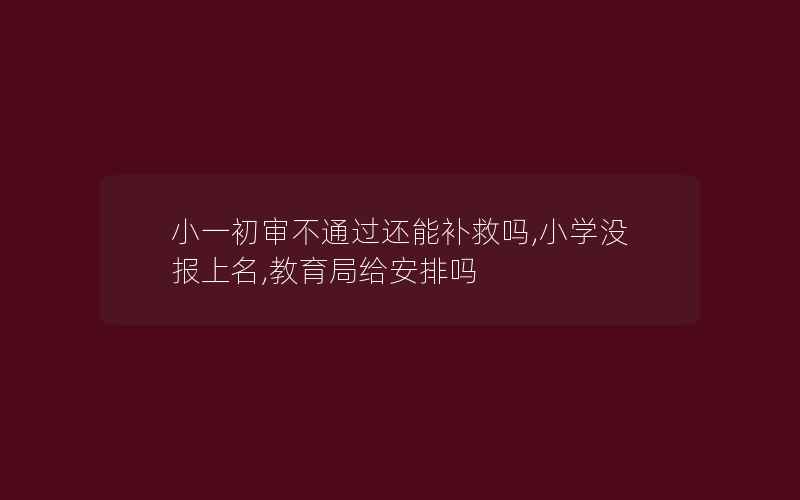 小一初审不通过还能补救吗,小学没报上名,教育局给安排吗