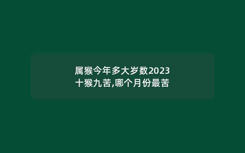 属猴今年多大岁数2023 十猴九苦,哪个月份最苦