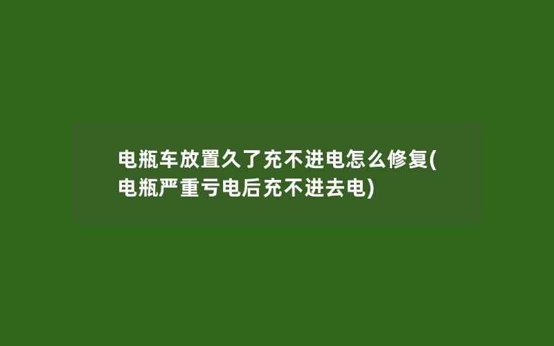 电瓶车放置久了充不进电怎么修复(电瓶严重亏电后充不进去电)