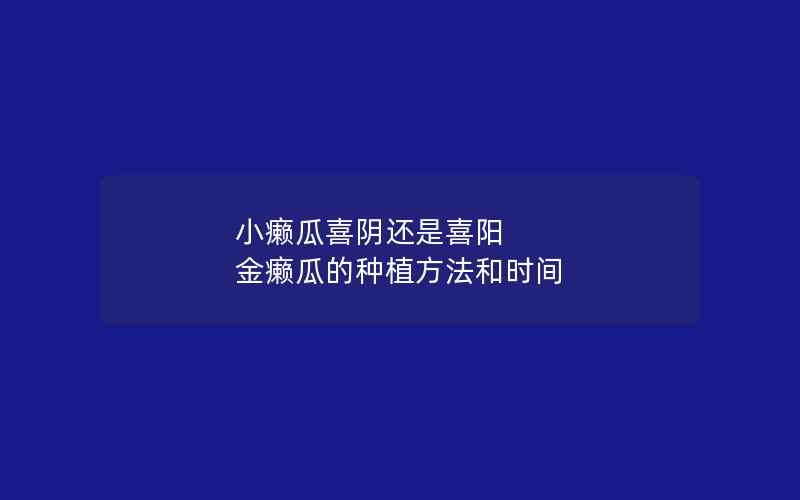 小癞瓜喜阴还是喜阳 金癞瓜的种植方法和时间