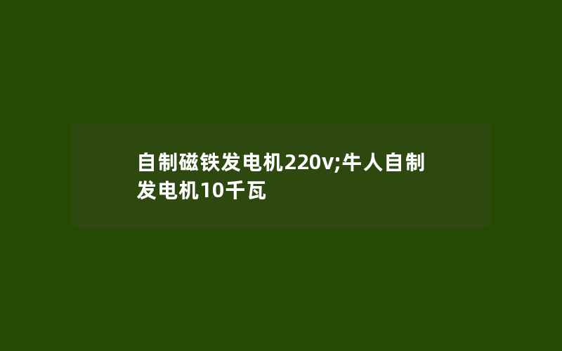 自制磁铁发电机220v;牛人自制发电机10千瓦