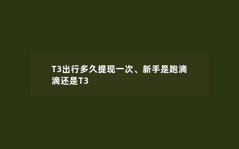 T3出行多久提现一次、新手是跑滴滴还是T3