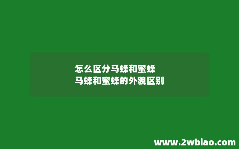 怎么区分马蜂和蜜蜂 马蜂和蜜蜂的外貌区别