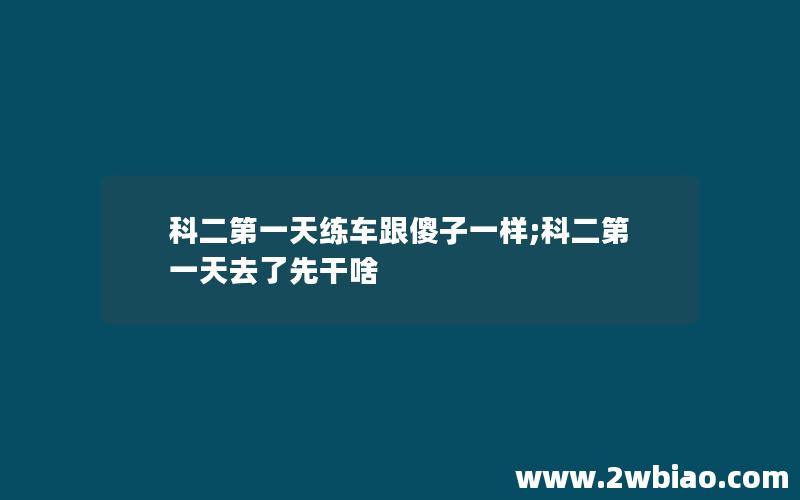 科二第一天练车跟傻子一样;科二第一天去了先干啥