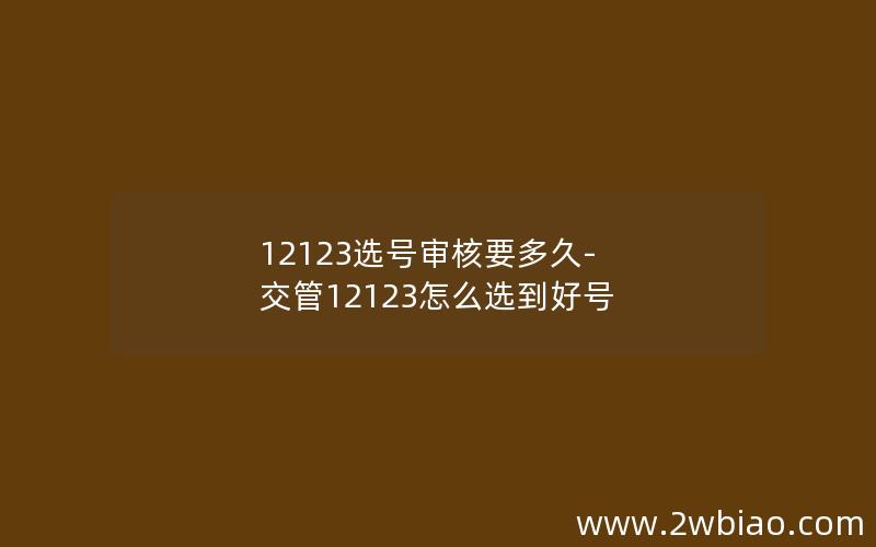 12123选号审核要多久-交管12123怎么选到好号