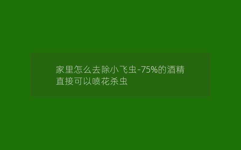 家里怎么去除小飞虫-75%的酒精直接可以喷花杀虫