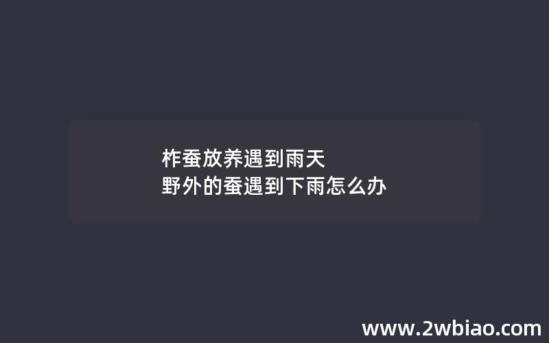 柞蚕放养遇到雨天 野外的蚕遇到下雨怎么办