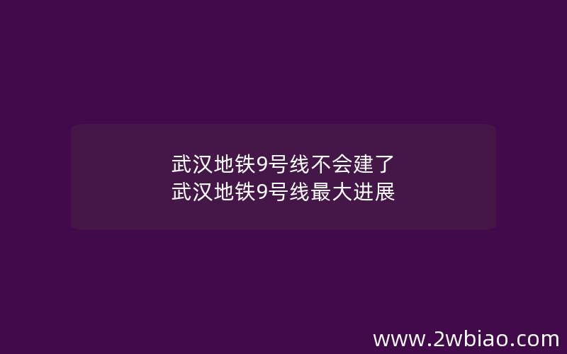 武汉地铁9号线不会建了 武汉地铁9号线最大进展