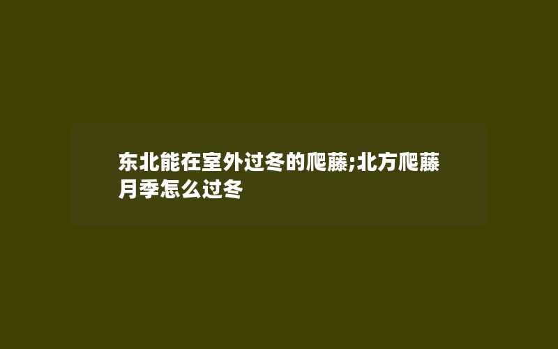 东北能在室外过冬的爬藤;北方爬藤月季怎么过冬