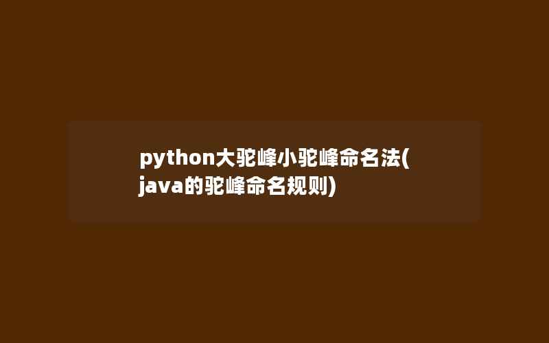 python大驼峰小驼峰命名法(java的驼峰命名规则)