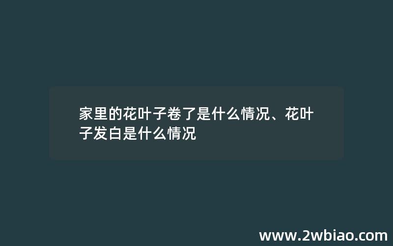 家里的花叶子卷了是什么情况、花叶子发白是什么情况