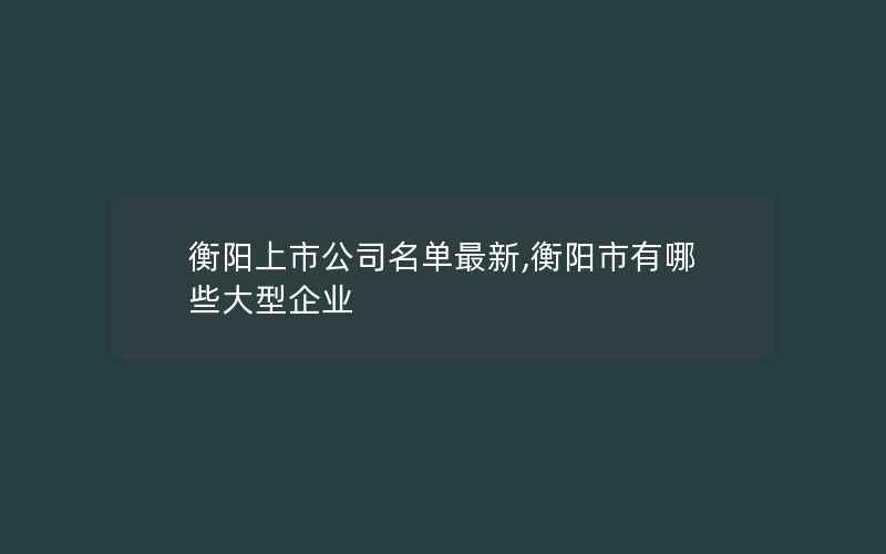 衡阳上市公司名单最新,衡阳市有哪些大型企业