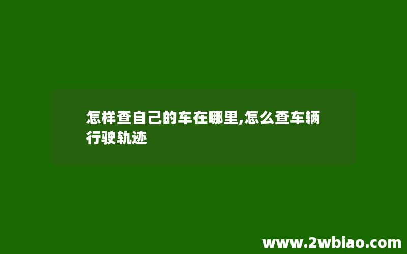 怎样查自己的车在哪里,怎么查车辆行驶轨迹